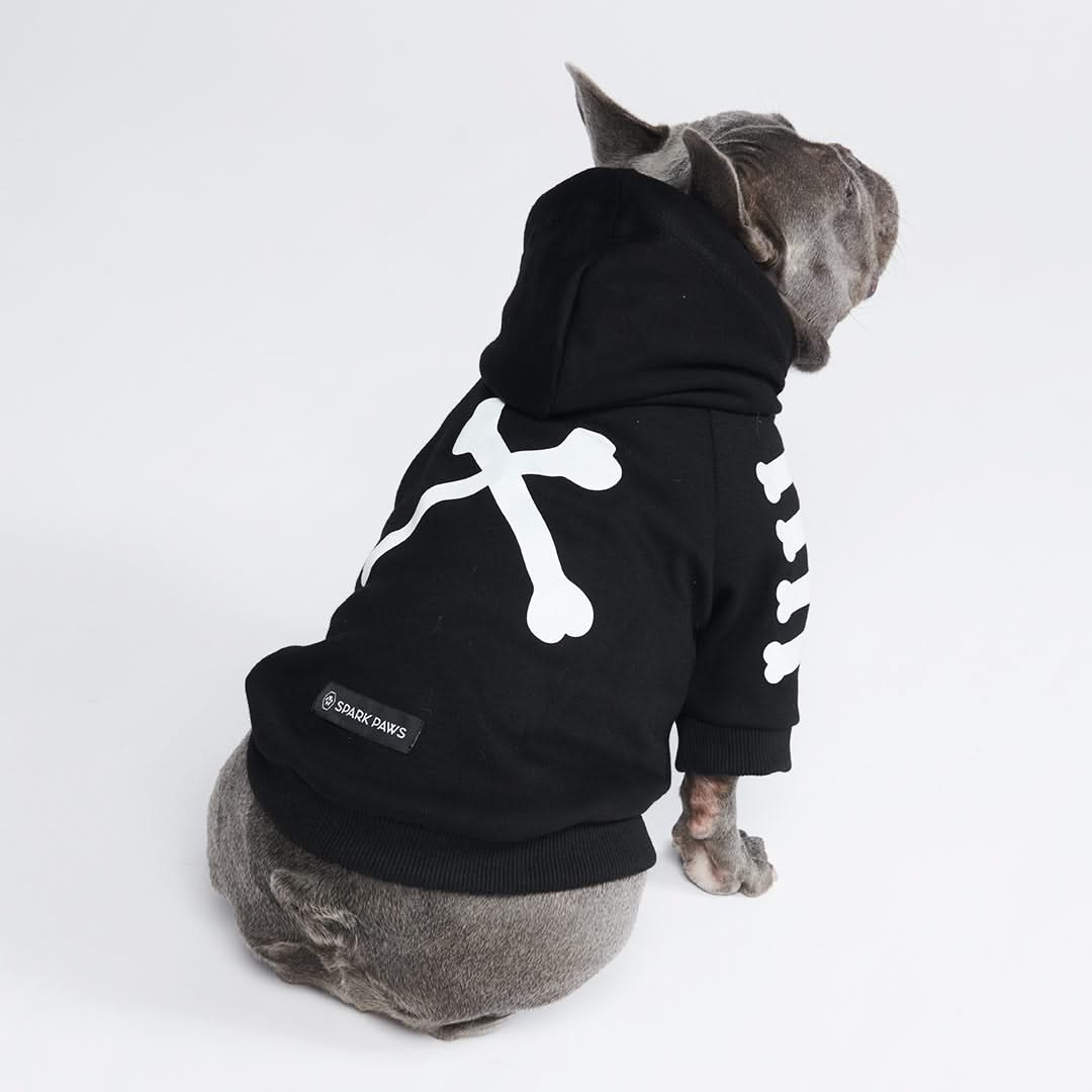 Dog hoodie sweater best sale