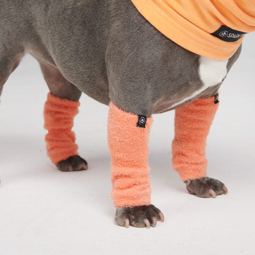 Dog leg warmers waterproof best sale