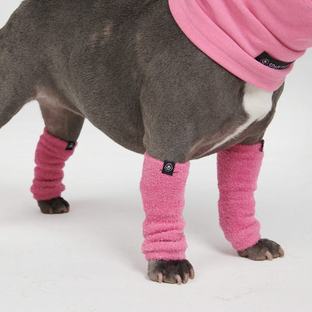 Dog fleece with legs best sale