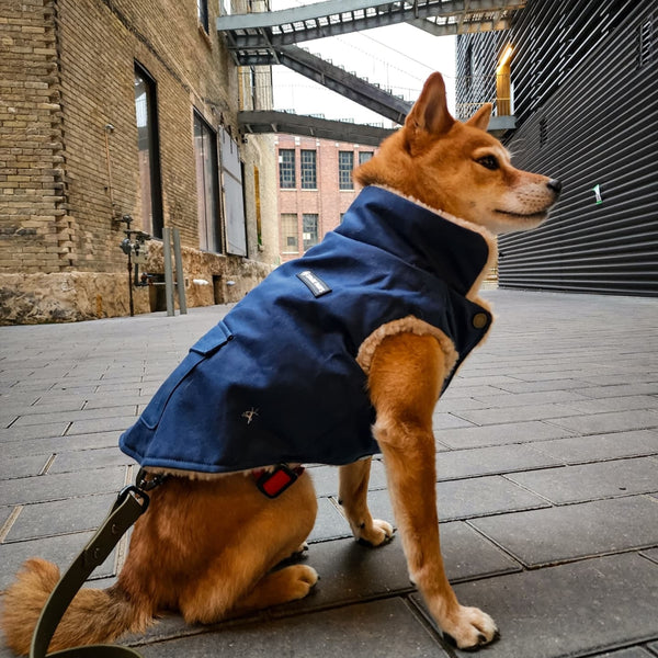 Winter Jacket Coats for Dogs Premium Vests and More SPARK PAWS