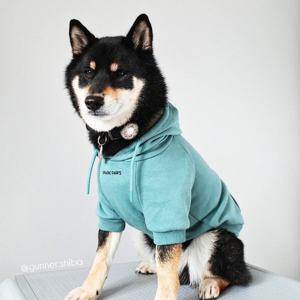 Dog zip up hoodie best sale