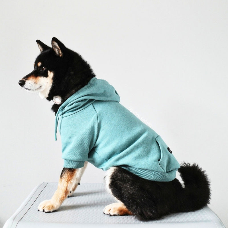 Essential Dog Hoodie - Teal