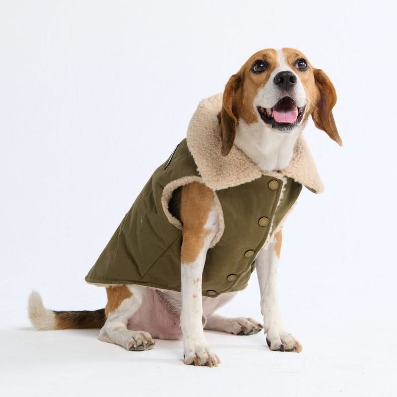 Spark Paws Duck Insulated Dog Winter Jacket Coat Sherpa Fleece Vest Parka Warm and Cozy