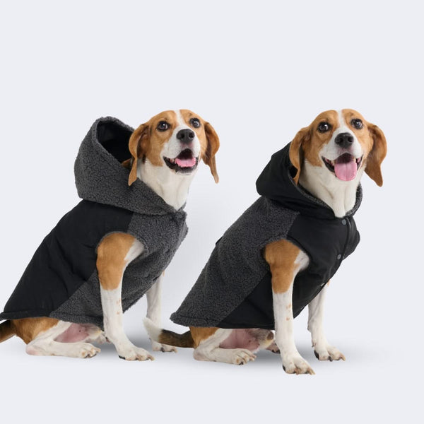 Dog coats for beagles best sale