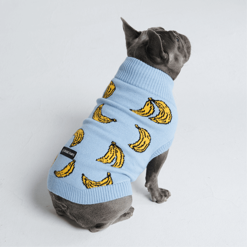 Banana Dog Sweater