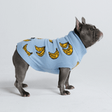 Banana Dog Sweater