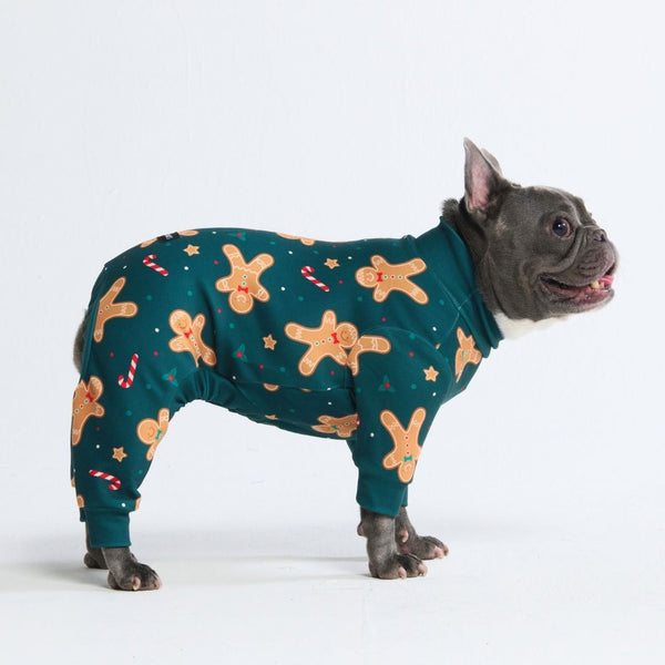 Dog and baby matching pajamas sale