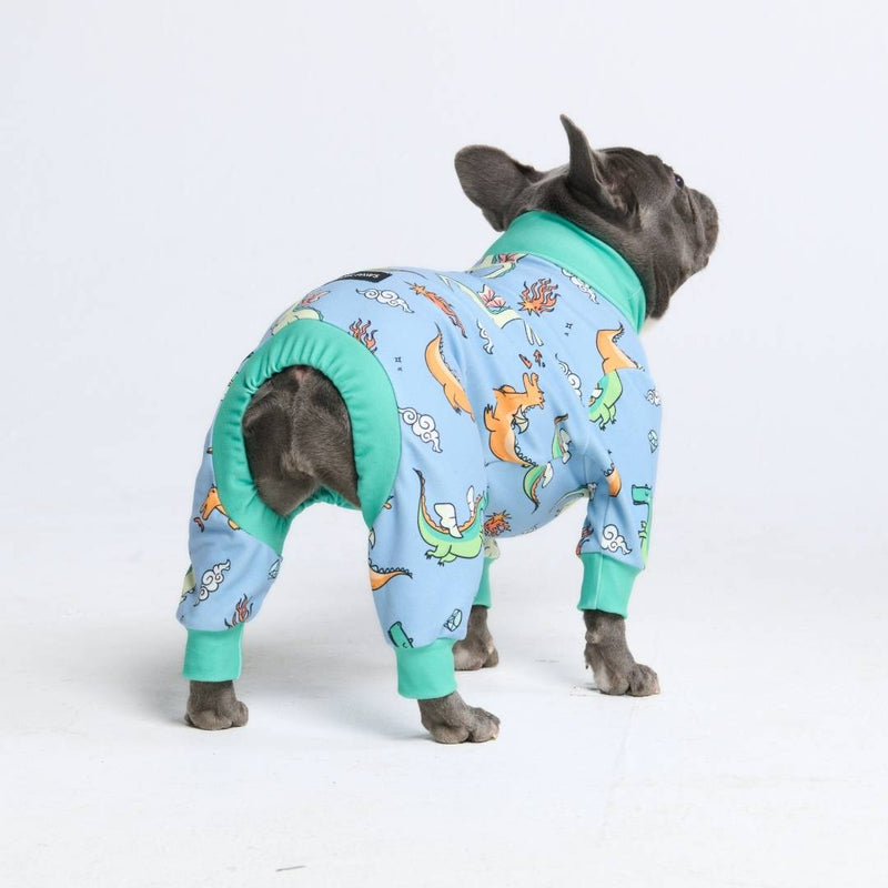 Dog Pajama - Dragons