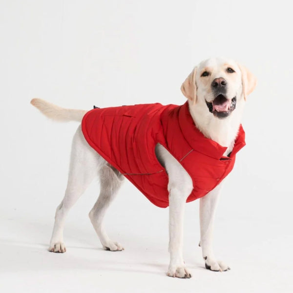 Red 2025 dog jacket