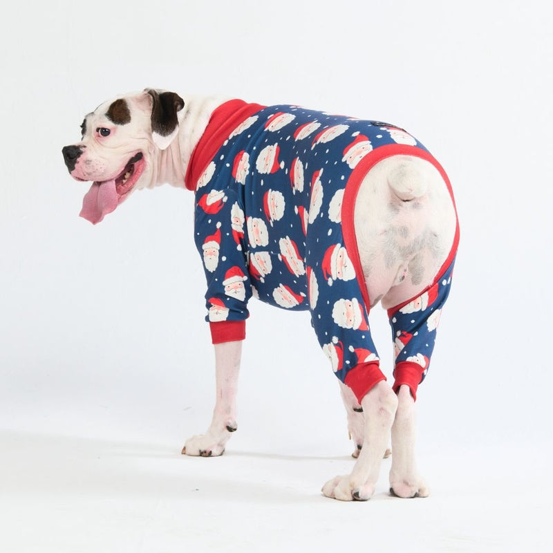 Spark Paws Christmas Dog Pajama Matching Christmas Prints for Dog and Owner