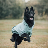 Essential Teal Hoodie