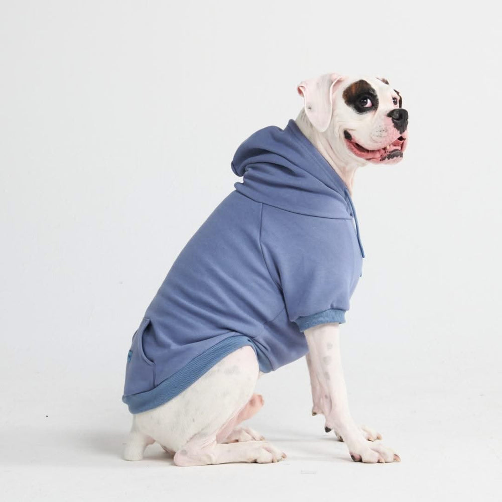 Matching Hoodies For Dog And Owner Essential Dog Hoodie Slate Blue