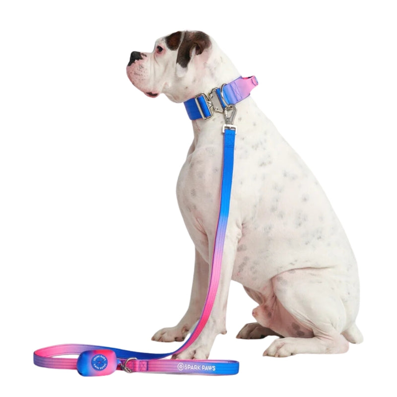 Leash and Poop Bag Holder Set - Snow Cone