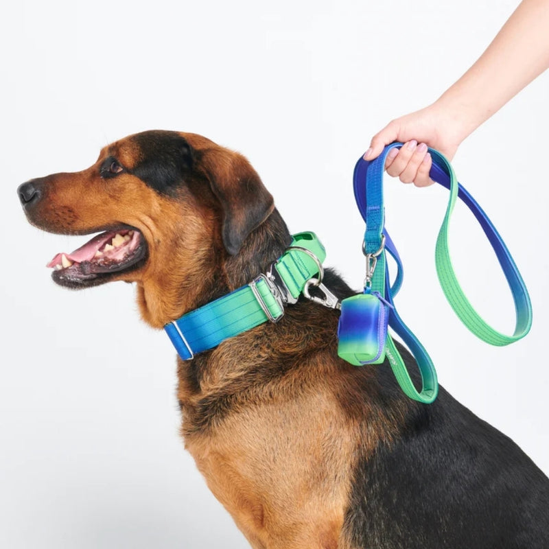 Lime Wave Neoprene Leash