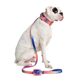 Kaleidoscope Neoprene Leash