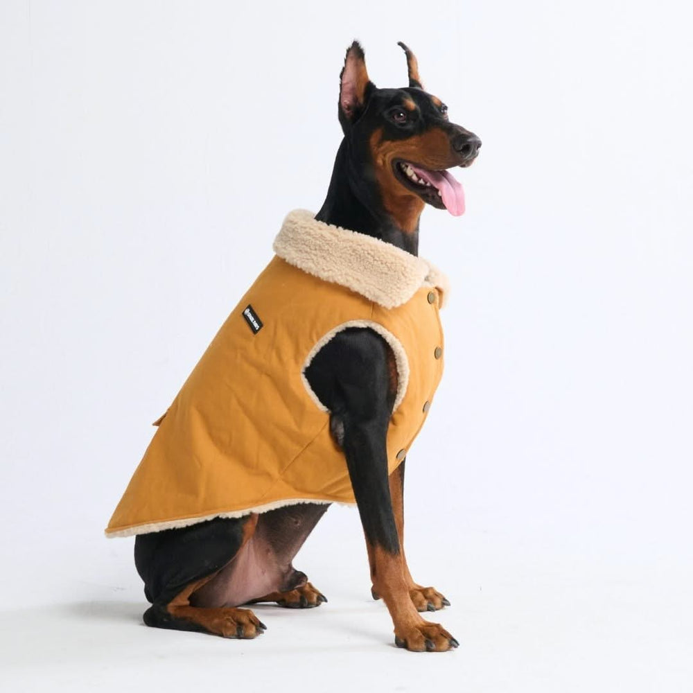 Dog Clothes Dog Apparel Dog Hoodie Outfits Spark Paws Clothing SPARK PAWS