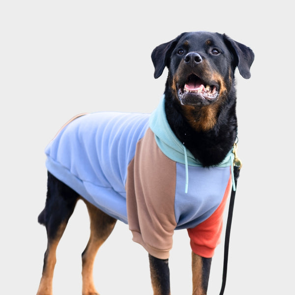 Dog Hoodies Sweatshirts Sweaters and Jumpers SPARK PAWS