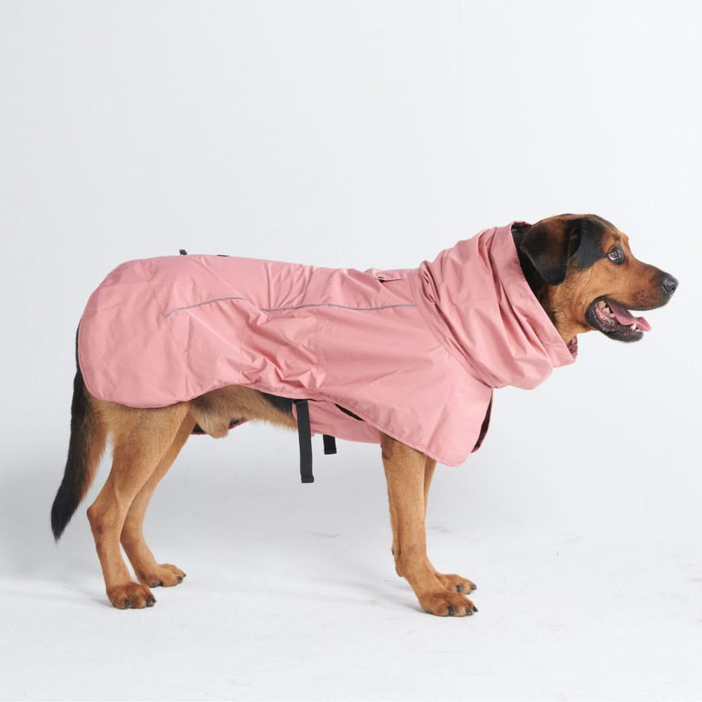 Dog raincoat with legs best sale