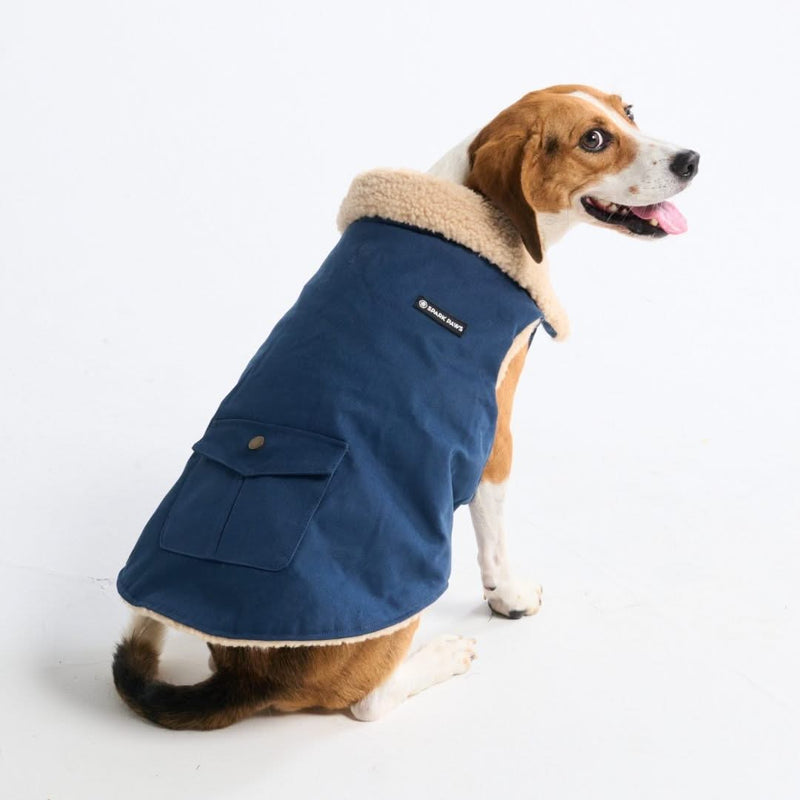 Insulated dog coat best sale