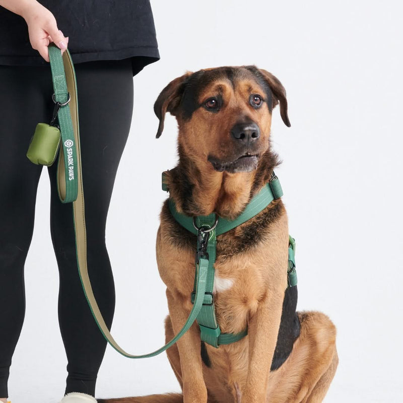 Green Neoprene Leash