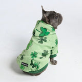 St. Paddy's Dog Hoodie - Light Green (Limited Edition)