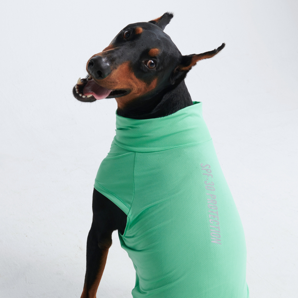 Spark Paws Sunblock Dog T Shirt SPF 30 UV Protection Lightweight Breathable Durable