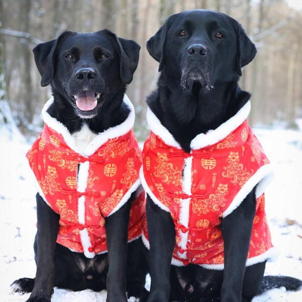 Shearling sales dog coat