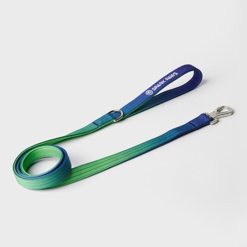 Leash and Poop Bag Holder Set - Lime Wave