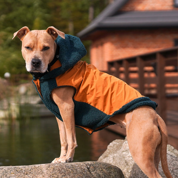 Dog parka coat hotsell