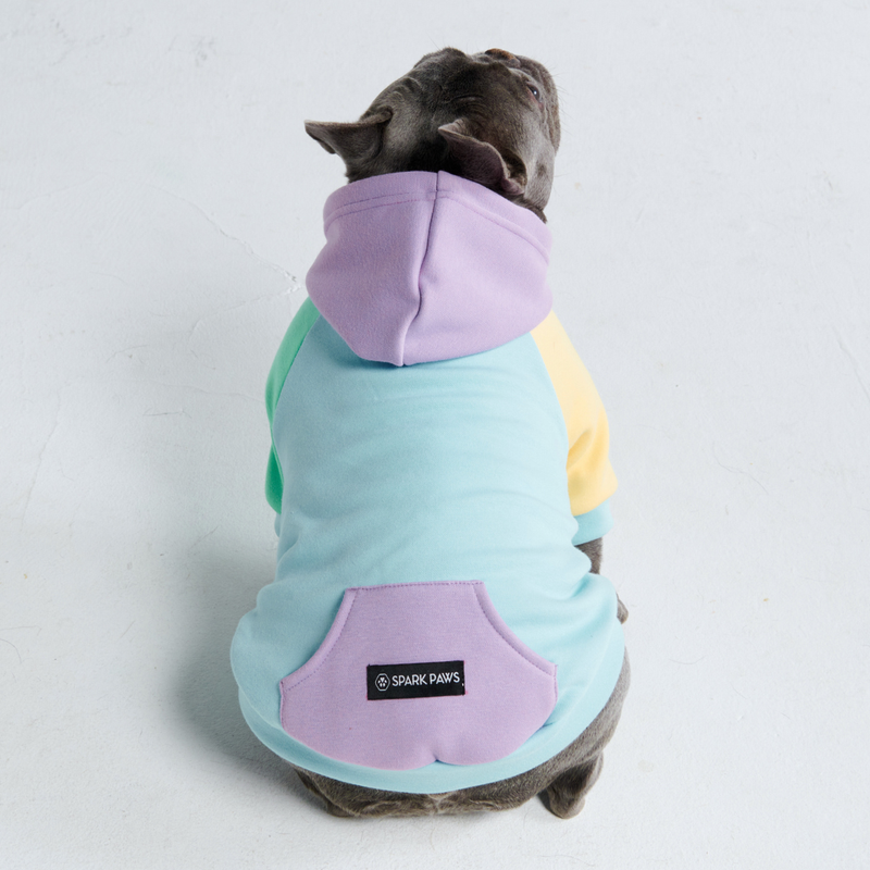 Daydream Dog Hoodie