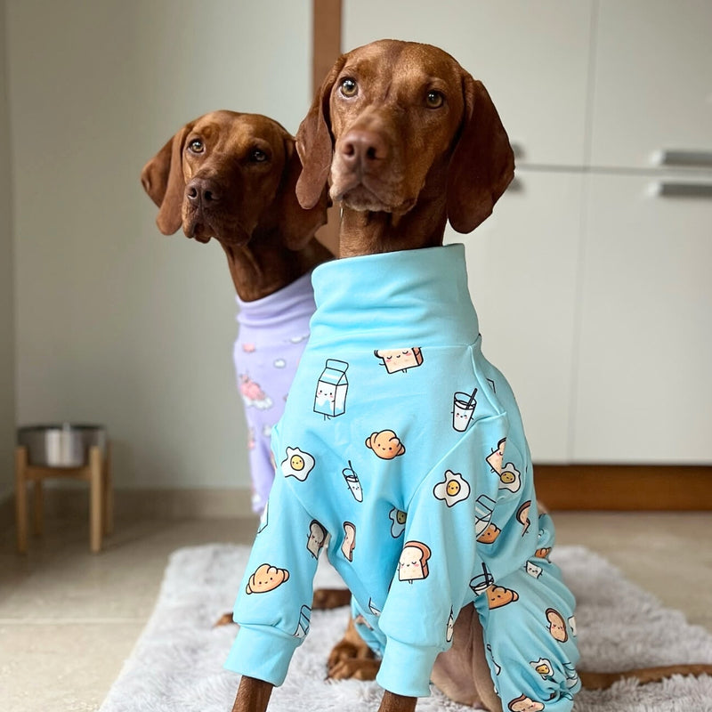 Weimaraner pyjamas sale