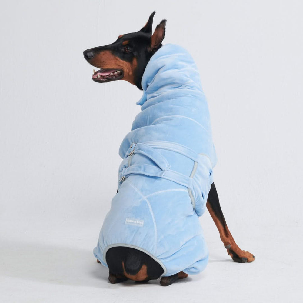 Matching Hoodies For Dog And Owner 10 Minute Dry Dog Bathrobe