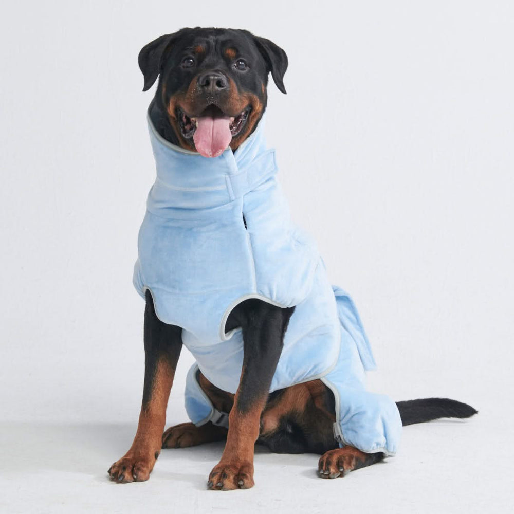 Matching Hoodies For Dog And Owner 10 Minute Dry Dog Bathrobe