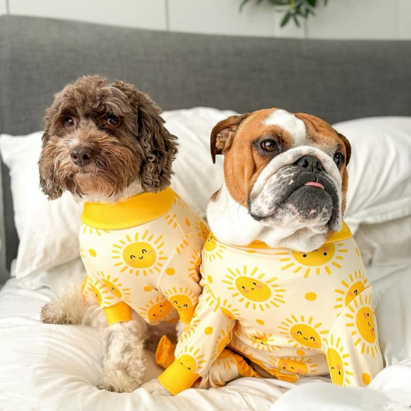 Dog fleece pyjamas sale