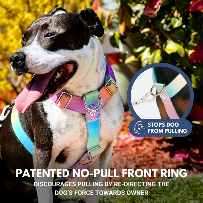 Comfort Control No-Pull Dog Harness - Pastel Icing