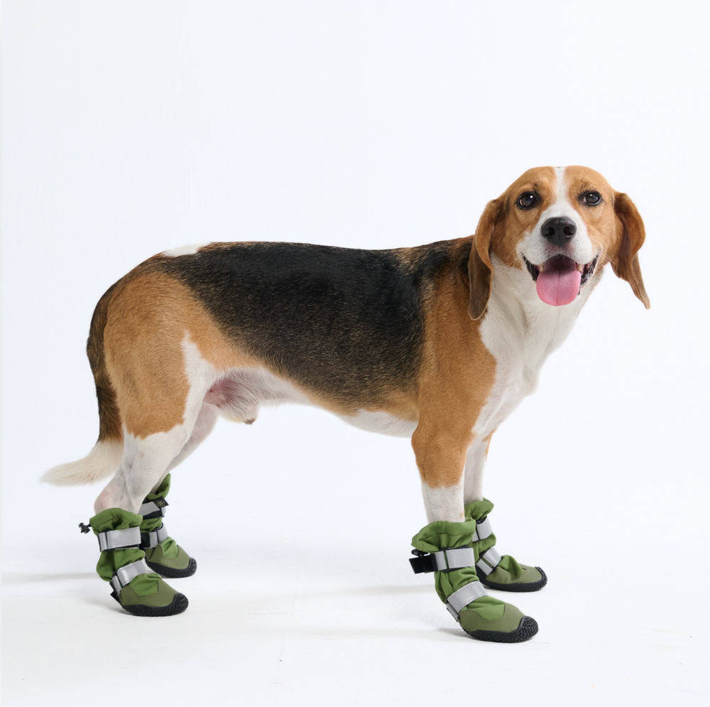 Dog christmas booties best sale