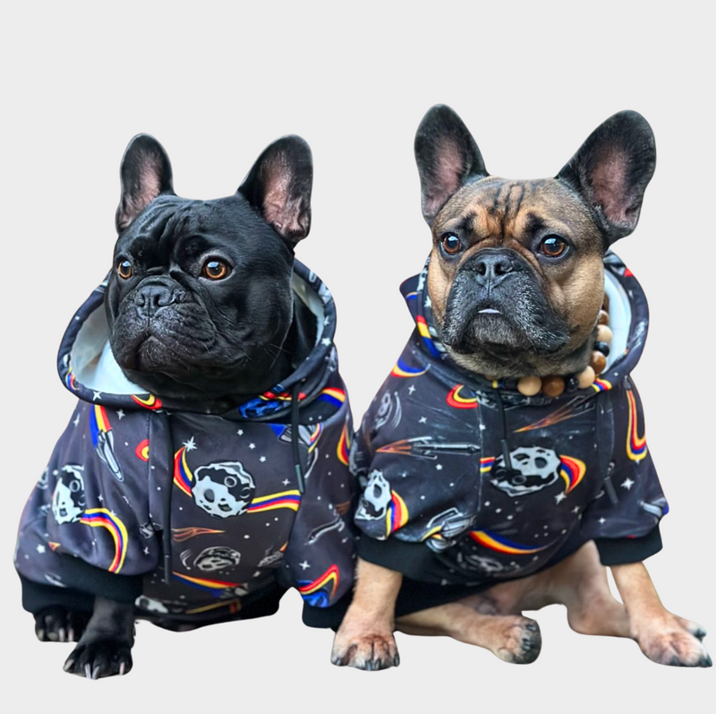 Space Dog Hoodie