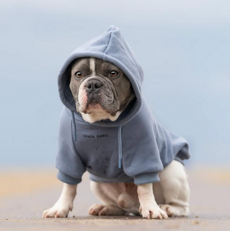 Matching Hoodies For Dog And Owner Essential Dog Hoodie Slate Blue