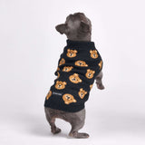 Broken Teddy Dog Sweater