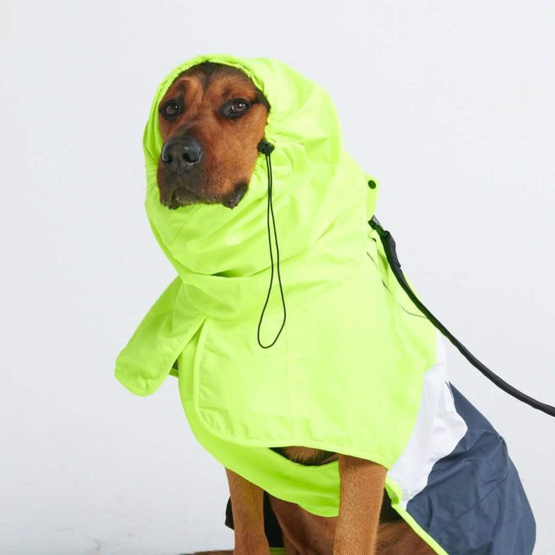 Dog Raincoat - Neon White Navy