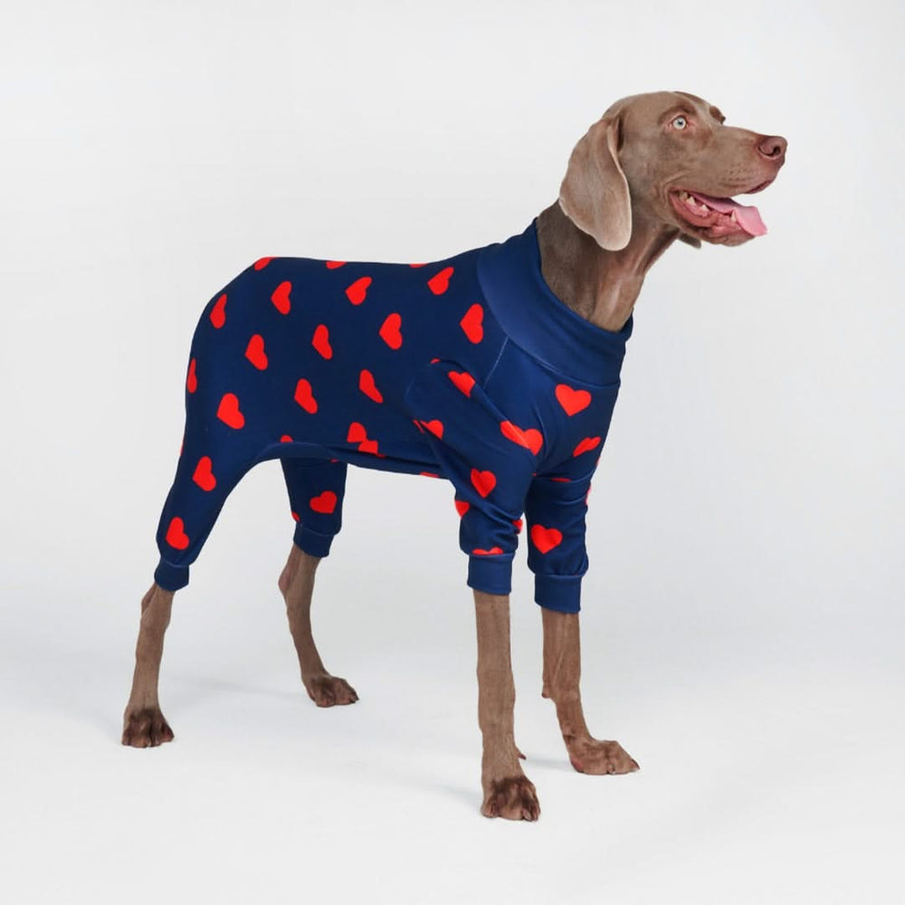 Dog onesie with feet best sale