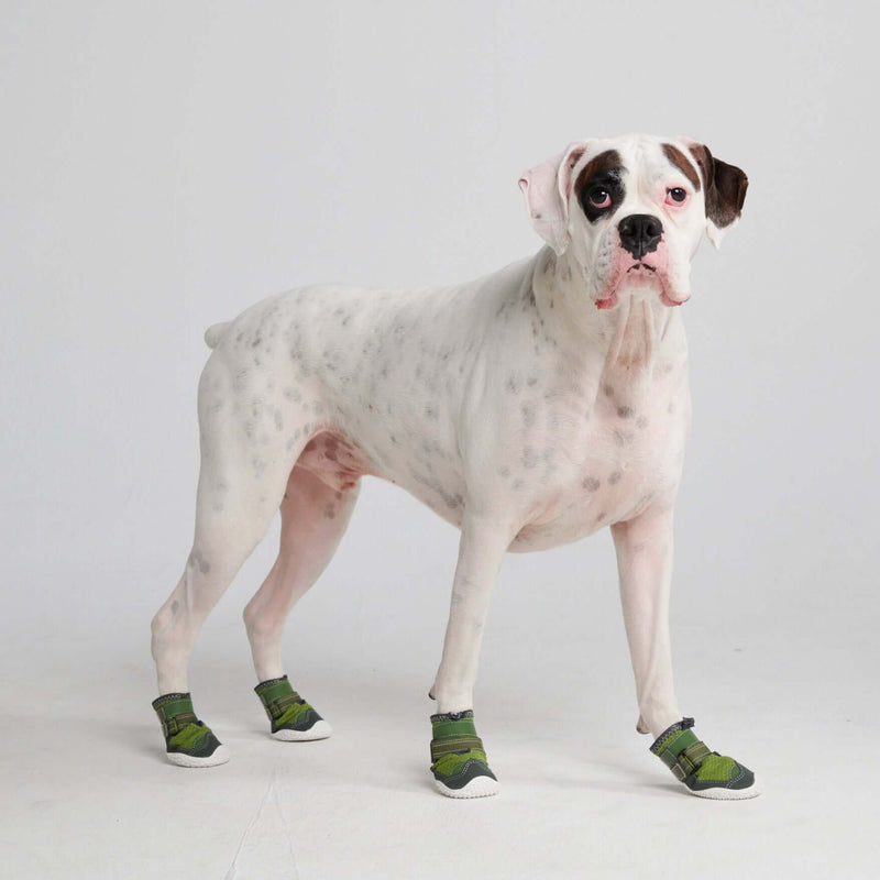 Hot Pavement Dog Shoes Summer Dog Boots Pink Purple Spark Paws