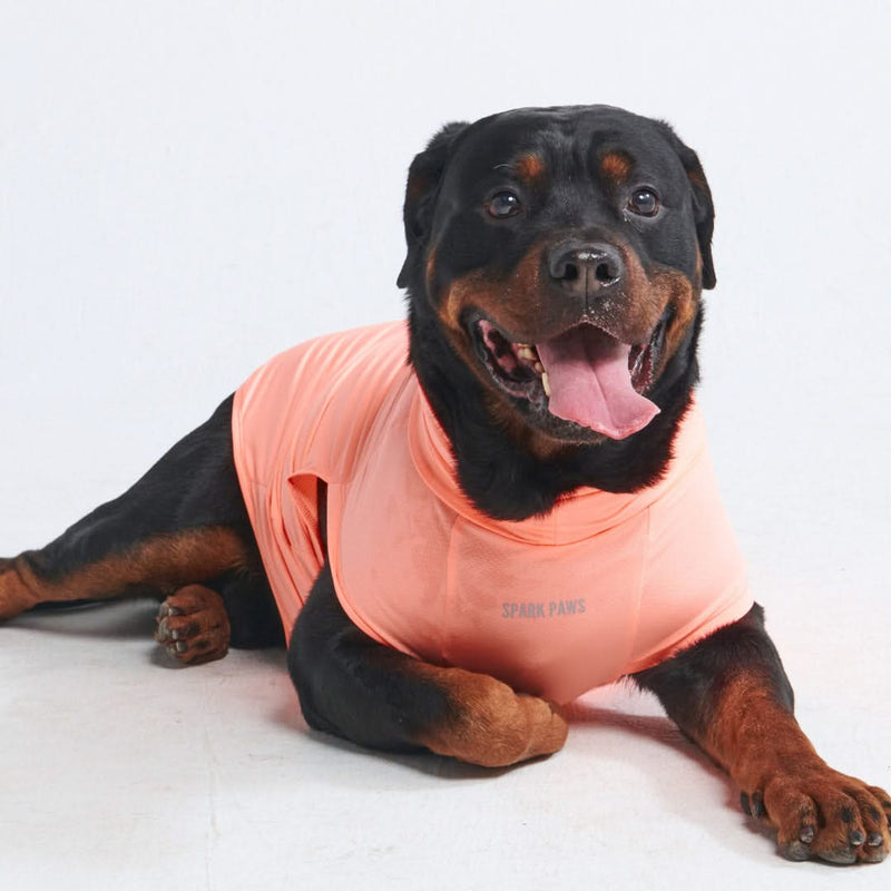 Sunblock Dog T Shirt Peach SPARK PAWS