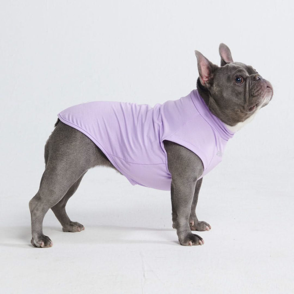 Purple dog shirt best sale