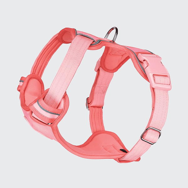 Blush pink dog sales harness